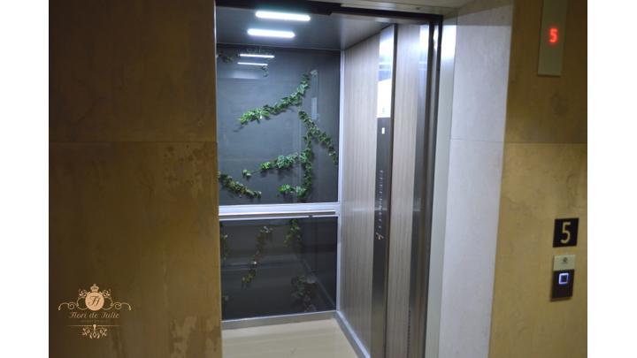 בראשוב Flori De Iulie Apartamente מראה חיצוני תמונה